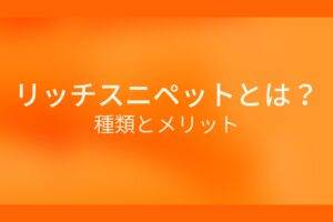 オレンジ色の背景にリッチスニペットとは？種類とメリットというテキストが白色で書かれている